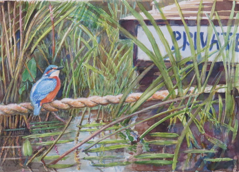 Private Moments Kingfisher watercolour 40 x 30cm